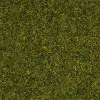 NOCH 50220 Gras Wiese 2,5 mm, 100 g